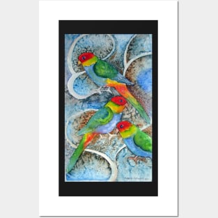 Rainbow parrot Posters and Art